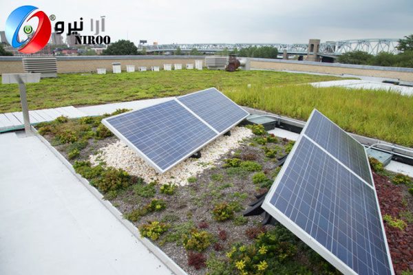 سقف-های-سبز-کارایی-پنل-خورشیدی-را-بهبود-می-بخشد